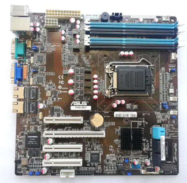 Scheda madre per server Asus P9D-MV Socket 1150