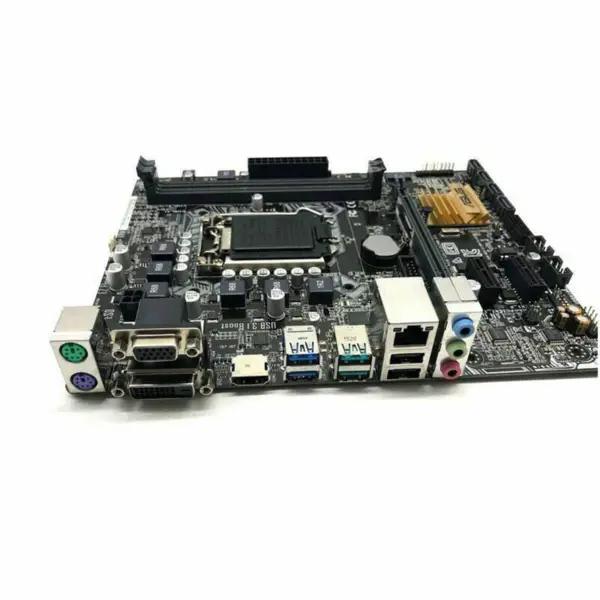 Scheda madre Asus H110M-PLUS D3