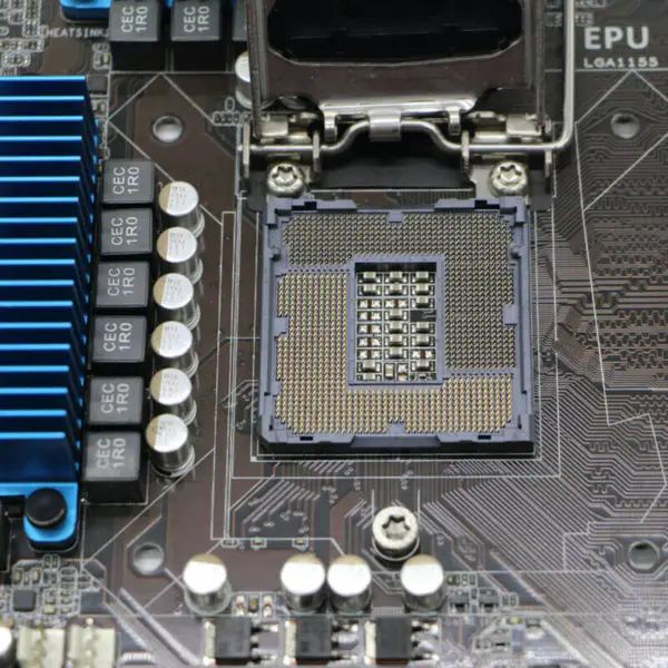 Scheda madre Asus P8BWS
