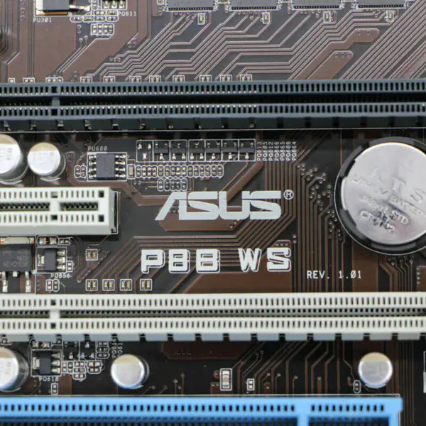 Scheda madre Asus P8BWS