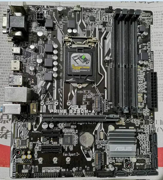 Scheda madre Asus PRIME B250M-A
