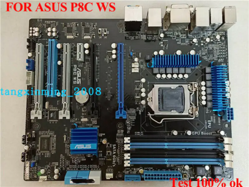 Scheda madre Asus P8CWS