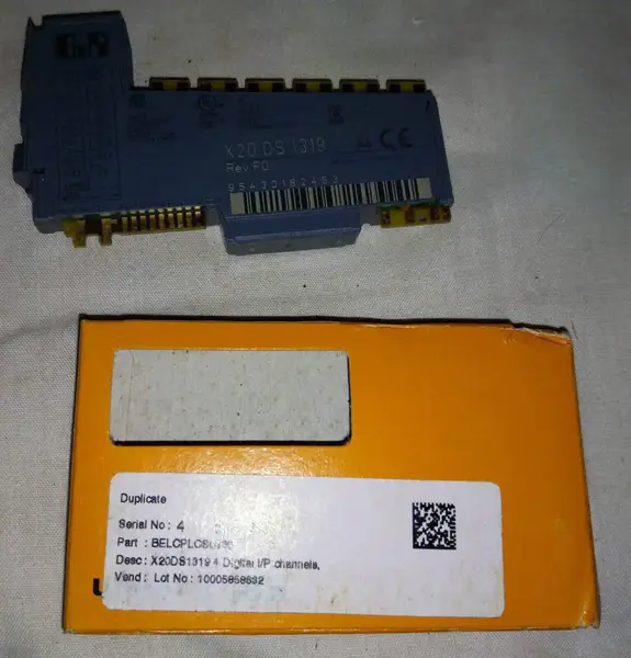 B&R X20DS1319