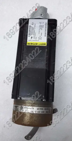 BERGER LAHR Motore VRDM3913/50LWBOB