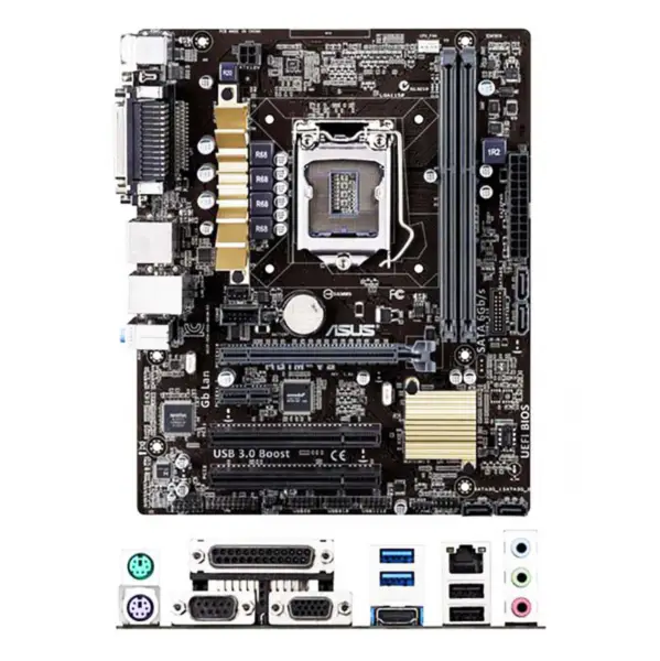 Scheda madre H81 per Asus H81m-v3