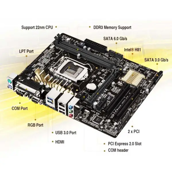 Scheda madre H81 per Asus H81m-v3